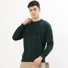 Men's Dark Forest Green Crew Neck Casual Sweatshirt, गहरा हरा, small image number null
