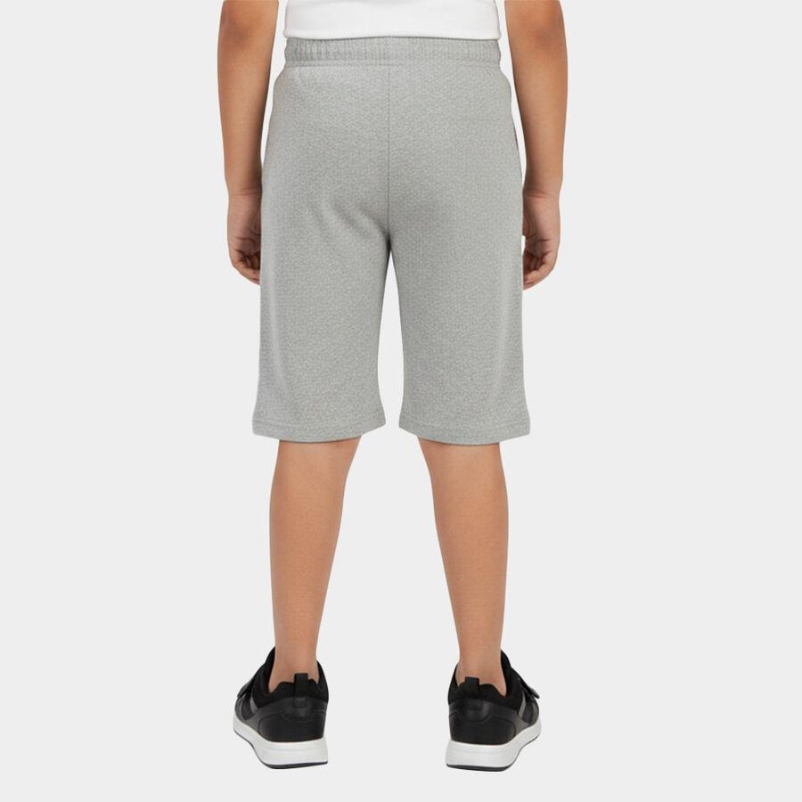 Boys Grey Regular Fit Graphic Print Jamaican Shorts, Light Grey, large