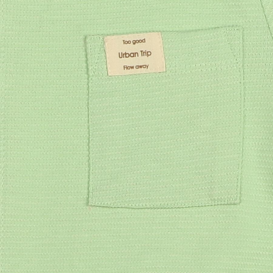 Boys Light Green Cotton Round Neck Casual Boys T-Shirt, हल्का हरा, large