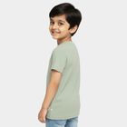 Boys Light Sage Green Crew Neck Casual T-Shirt, हल्का हरा, small image number null