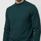 Men's Green Crew Neck Solid Pullover, Dark Green, small