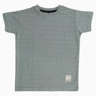 Boys Light Green Crew Neck Casual Half Sleeve T-Shirt, हल्का हरा, small
