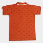 Boys' 100% Cotton Half Sleeves T-Shirt, Rust, small