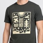 Men's Olive Green Round Neck Regular T-Shirt, हल्का हरा, small
