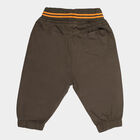 Infants Cotton Solid Trousers, Olive, small image number null
