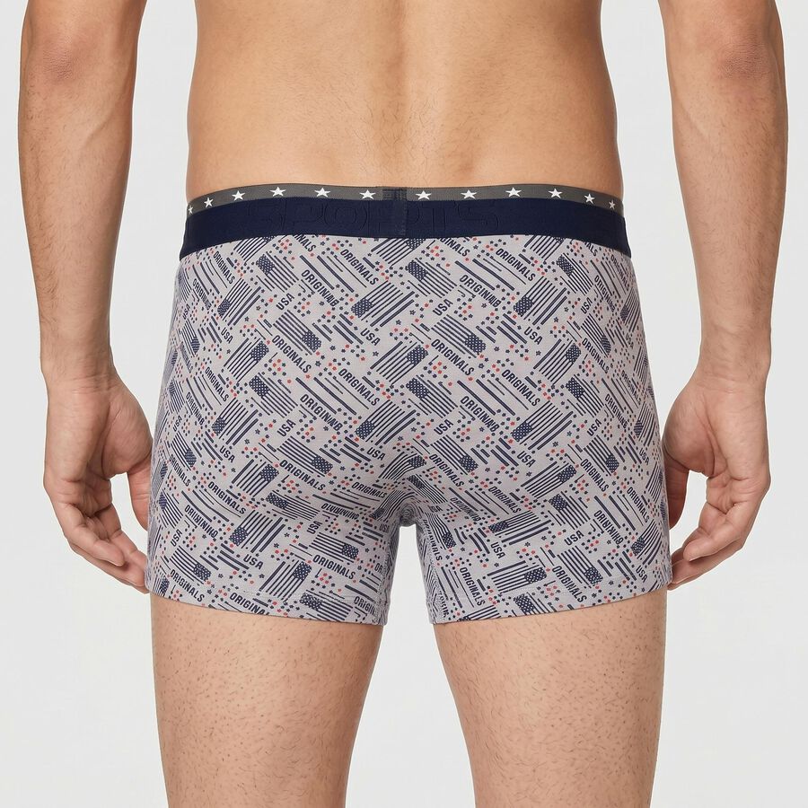 Men's Grey Regular Fit Printed Trunks, Light Grey, large