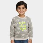 Boys Light Grey Crew Neck Casual Sweatshirt, Light Grey, small image number null