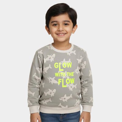 Boys Light Grey Crew Neck Casual Sweatshirt