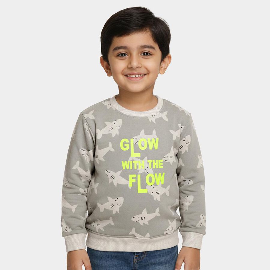 Boys Light Grey Crew Neck Casual Sweatshirt, Light Grey, large image number null