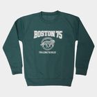 Boys' Teal Crew Neck Graphic Print Sweatshirt, टील ब्लू, small