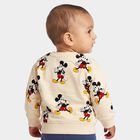 Infants' Beige Cotton Round Neck Pullover Sweatshirt, गहरा पीला, small