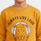 Boys' Mustard Crew Neck Pullover Sweatshirt, Mustard, small