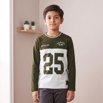 Boys Olive Green Round Neck Regular Boys T-Shirt