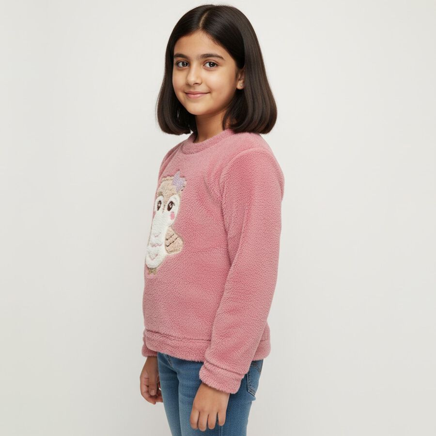 Girls Light Pink Crew Neck Casual Sweatshirt, Light Pink, large image number null