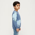 Boys' Sweatshirt, हल्का नीला, small image number null