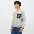 Men's Light Grey Crew Neck Casual Sweatshirt, Light Grey, small image number null