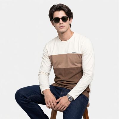 Men's Brown Crew Neck Colorblocked Regular T-Shirt