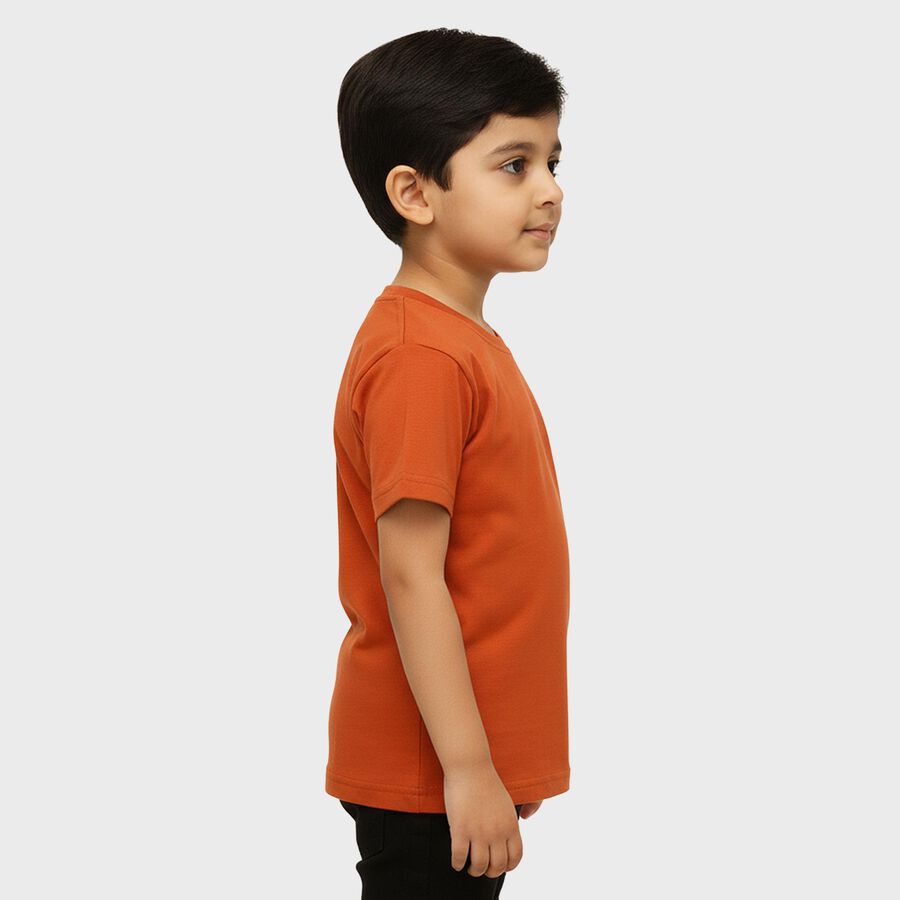 Boys Burnt Orange Cotton Round Neck Casual T-Shirt, Brown, large