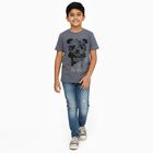 Boys Dark Grey Crew Neck Casual Half Sleeve T-Shirt, Dark Grey, small image number null