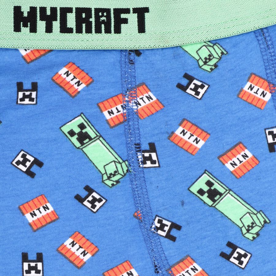 Boy's Briefs, Royal Blue, large image number null