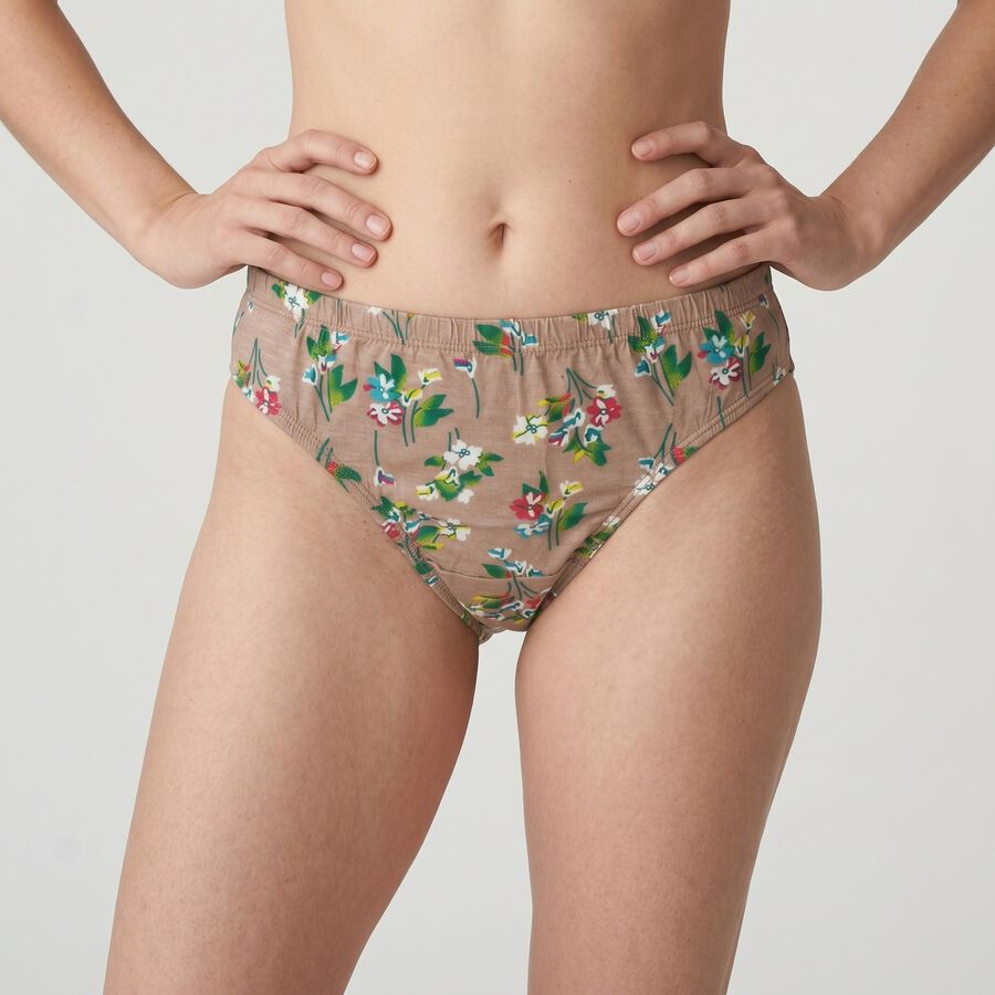 Women's Brown Regular Fit Floral Printed Panty, भूरा, large