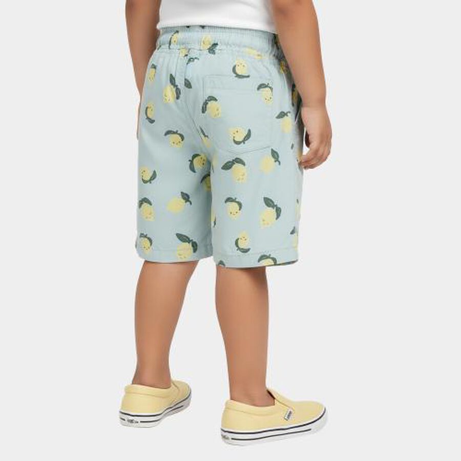 Boys' Light Blue Printed Elastic Waist Bermuda Shorts, Light Green, large image number null