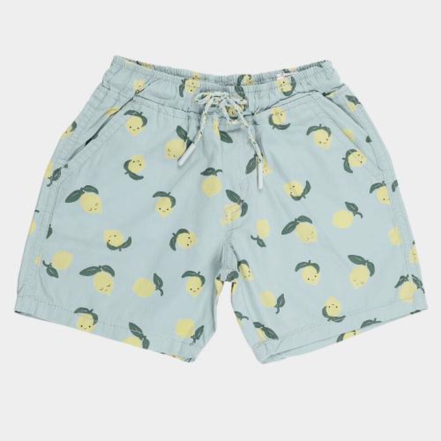 Boys' Light Blue Printed Elastic Waist Bermuda Shorts, Light Green, large image number null