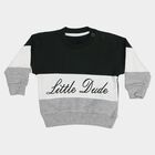Infants Green 100% Cotton Crew Neck Pullover Sweatshirt, Dark Green, small