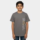 Boys' Charcoal Crew Neck Graphic Printed T-Shirt, Charcoal, small