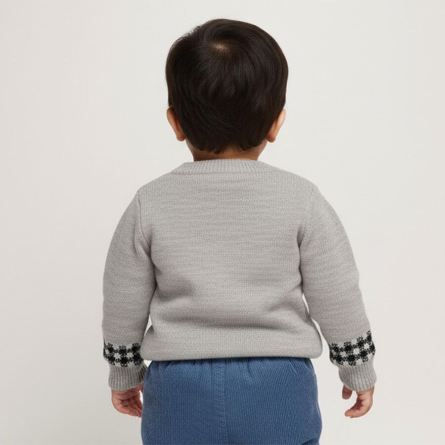 Infants Light Grey Crew Neck Casual Pullover, हल्का ग्रे, large image number null