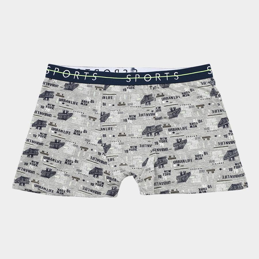 Boys' Light Heather Grey Regular Fit Printed Briefs, मिश्रित मध्यम ग्रे, large image number null