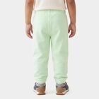 Boys Mint Green Jogger Fit Bunny Printed Pyjama, Light Green, small