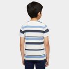 Boys Light Blue Cotton Blend Crew Neck Casual T-Shirt, Light Blue, small