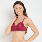 Ladies' Bra , Maroon, small image number null