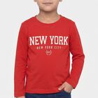 Boys' Red Cotton Blend Crew Neck Regular Boys T-Shirt, लाल, small
