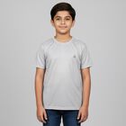 Boys Light Grey Crew Neck Casual T-Shirt, Light Grey, small image number null