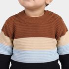 Infants' Brown Crew Neck Striped Pullover, भूरा, small
