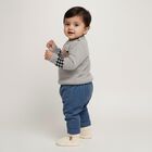 Infants Light Grey Crew Neck Casual Pullover, हल्का ग्रे, small image number null