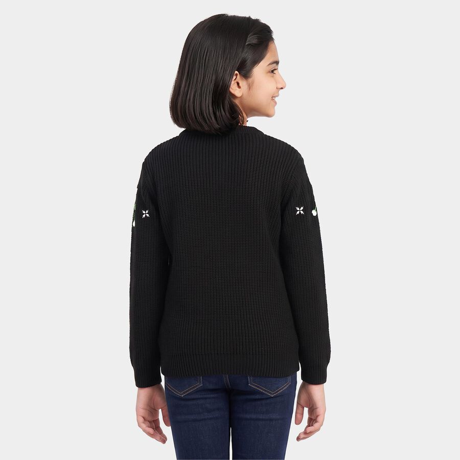 Girls Black Crew Neck Embroidered Pullover, काला, large