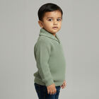 Infants Light Sage Green Shawl Collar Knit Pullover, हल्का हरा, small image number null