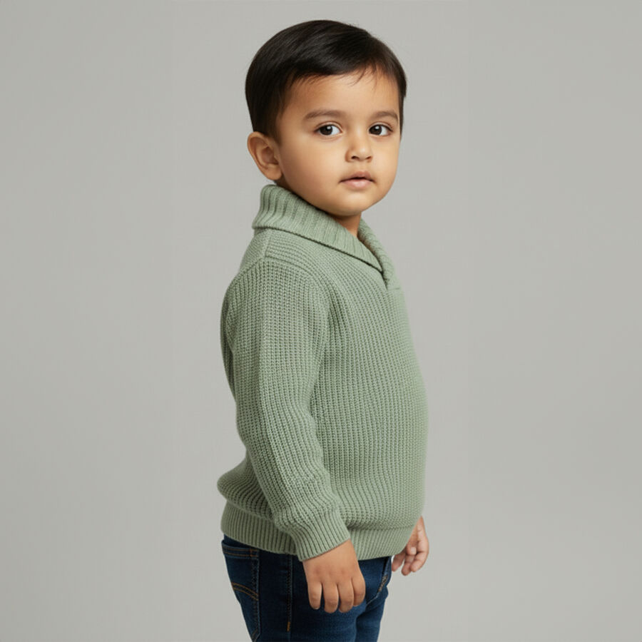 Infants Light Sage Green Shawl Collar Knit Pullover, हल्का हरा, large image number null