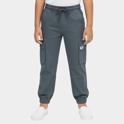 Boys Steel Blue Regular Fit Cargo Pants