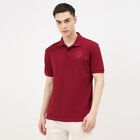 Men's Rich Maroon Cotton Polo Neck Classic T-Shirt, मरून, small