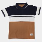 Boys Brown Polo Neck Polo Boys T-Shirt, Brown, small