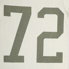 Boys' Light Sage Green Crew Neck Casual Full Sleeve T-Shirt, Light Green, small image number null