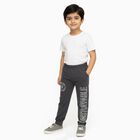 Boys' Dark Charcoal Grey Printed Cotton Blend Pyjama, Charcoal, small image number null