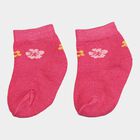Infants Cotton Solid Socks, White, small image number null
