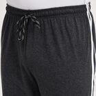 Men's Charcoal Grey Regular Fit Striped Graphic Jamaican Shorts, Charcoal, small