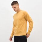 Men's Mustard Crew Neck Casual Sweatshirt, मस्टर्ड, small image number null