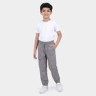 Boys Grey Regular Fit Cargo Trousers, Light Grey, small